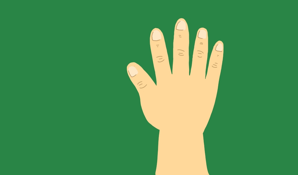 Как называются пальцы по-английски?